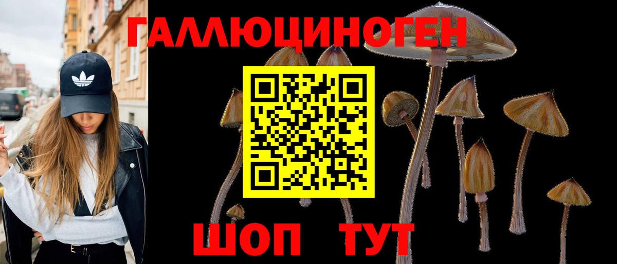 Галлюциногенные грибы Cubensis  Вход с VPN  Галлюциногенные грибы Cubensis  Арзамас 